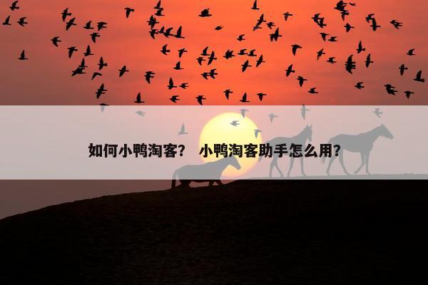 如何小鸭淘客？ 小鸭淘客助手怎么用？