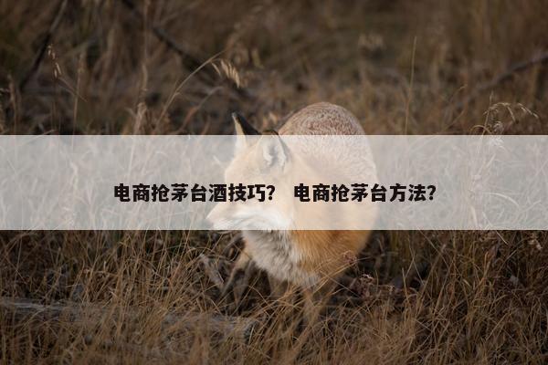 电商抢茅台酒技巧？ 电商抢茅台方法？