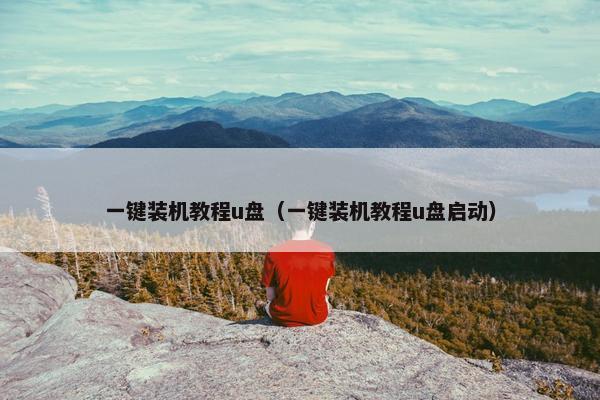 一键装机教程u盘（一键装机教程u盘启动）