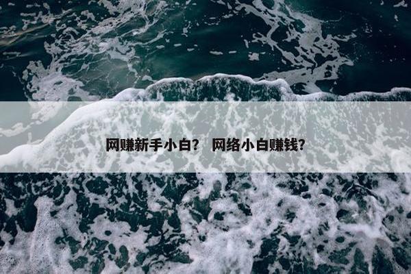 网赚新手小白？ 网络小白赚钱？