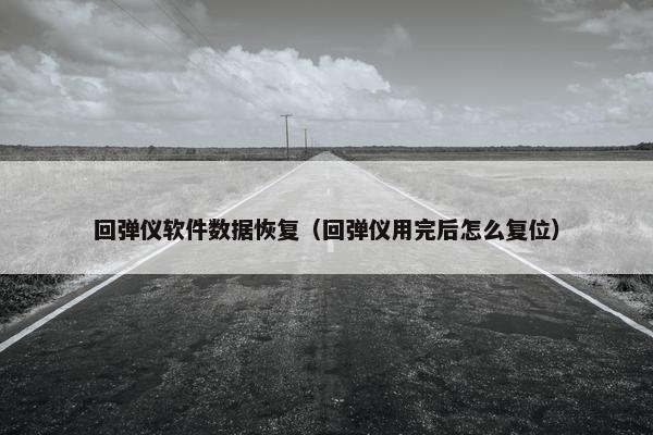 回弹仪软件数据恢复（回弹仪用完后怎么复位）