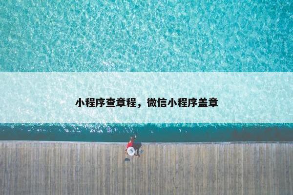 小程序查章程，微信小程序盖章