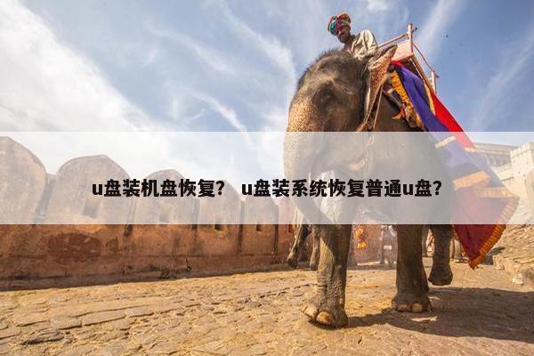 u盘装机盘恢复？ u盘装系统恢复普通u盘？