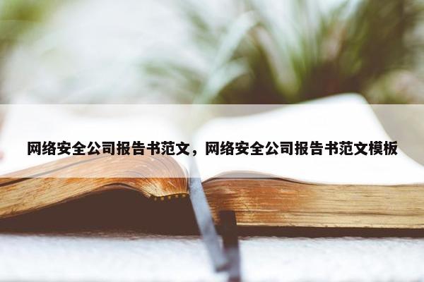 网络安全公司报告书范文，网络安全公司报告书范文模板