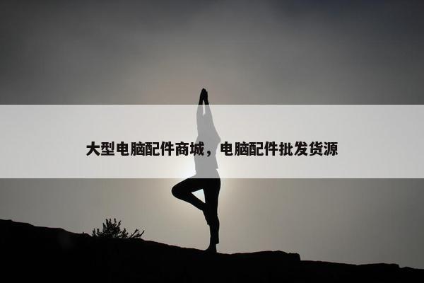 大型电脑配件商城，电脑配件批发货源