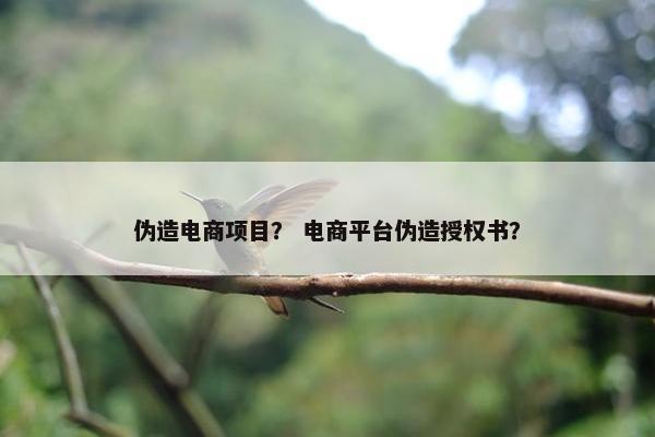 伪造电商项目？ 电商平台伪造授权书？