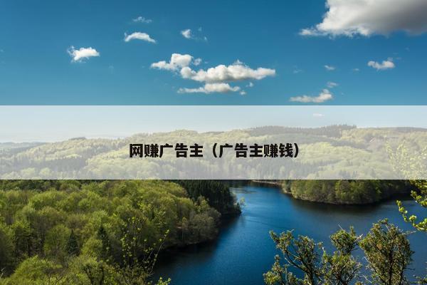 网赚广告主（广告主赚钱）