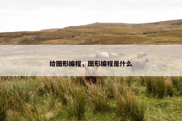 给图形编程，图形编程是什么