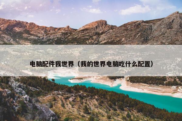 电脑配件我世界（我的世界电脑吃什么配置）