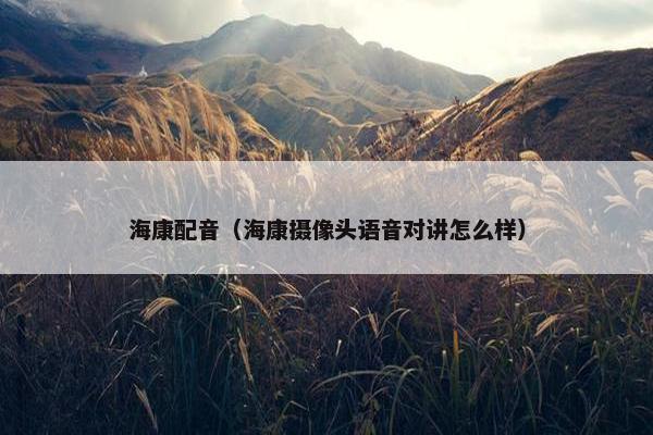 海康配音（海康摄像头语音对讲怎么样）