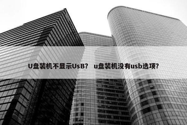 U盘装机不显示UsB？ u盘装机没有usb选项？