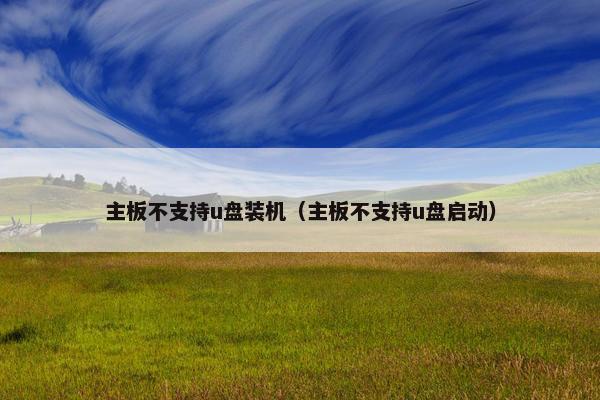 主板不支持u盘装机（主板不支持u盘启动）