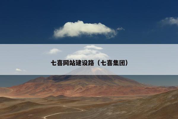 七喜网站建设路（七喜集团）