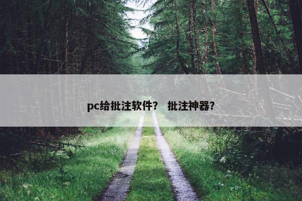 pc给批注软件？ 批注神器？