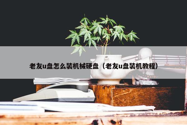 老友u盘怎么装机械硬盘（老友u盘装机教程）