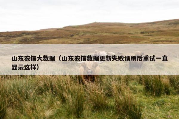 山东农信大数据（山东农信数据更新失败请稍后重试一直显示这样）