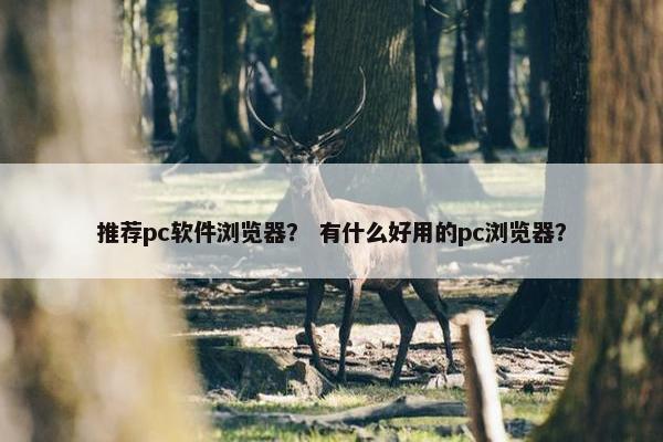 推荐pc软件浏览器？ 有什么好用的pc浏览器？