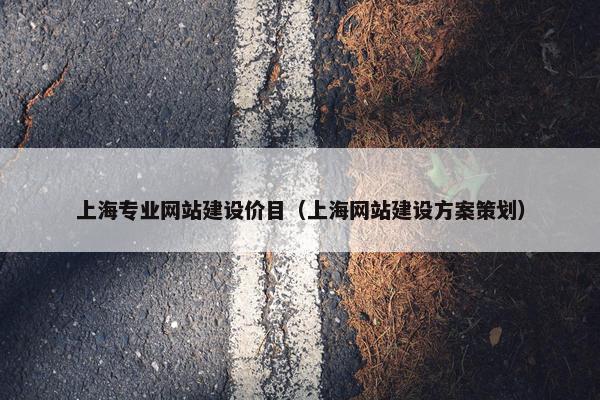 上海专业网站建设价目（上海网站建设方案策划）