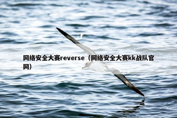 网络安全大赛reverse（网络安全大赛kk战队官网）
