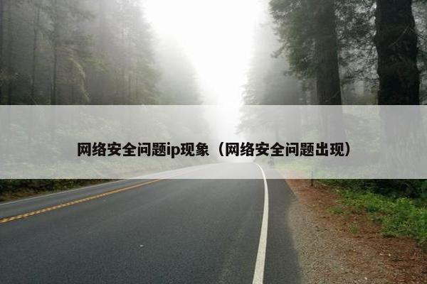 网络安全问题ip现象（网络安全问题出现）