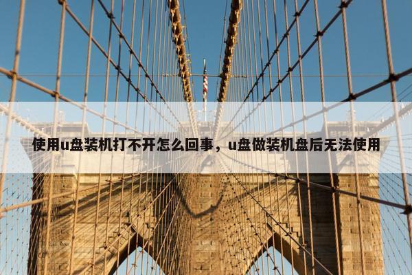 使用u盘装机打不开怎么回事，u盘做装机盘后无法使用