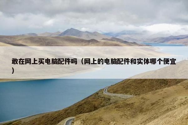 敢在网上买电脑配件吗（网上的电脑配件和实体哪个便宜）