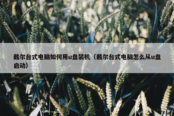 戴尔台式电脑如何用u盘装机（戴尔台式电脑怎么从u盘启动）