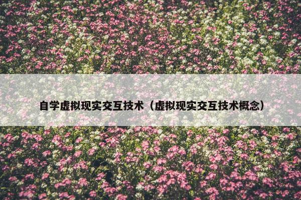 自学虚拟现实交互技术（虚拟现实交互技术概念）