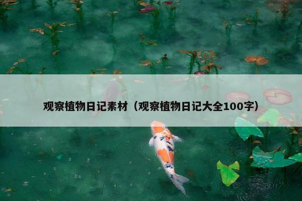 观察植物日记素材（观察植物日记大全100字）