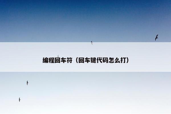 编程回车符（回车键代码怎么打）