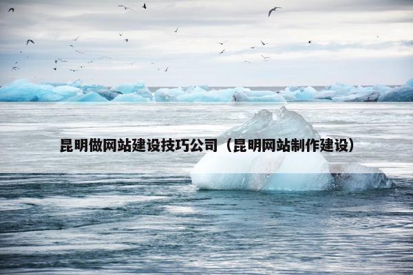 昆明做网站建设技巧公司（昆明网站制作建设）