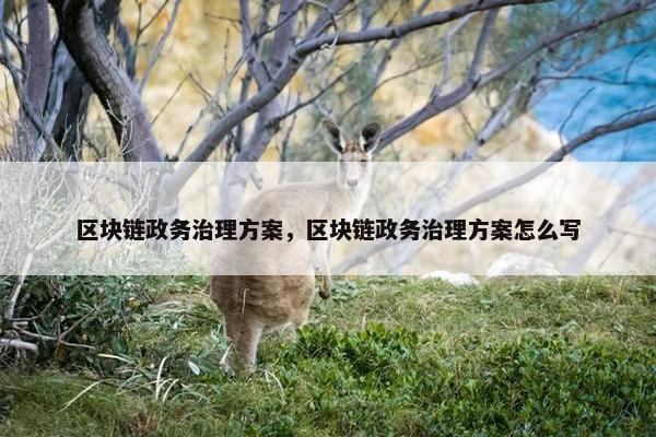 区块链政务治理方案，区块链政务治理方案怎么写
