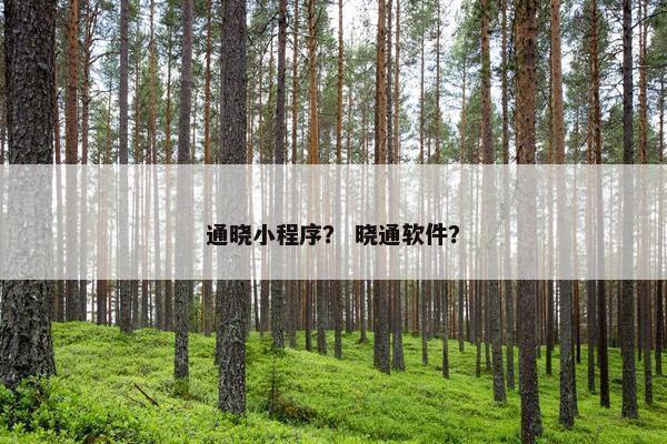 通晓小程序？ 晓通软件？