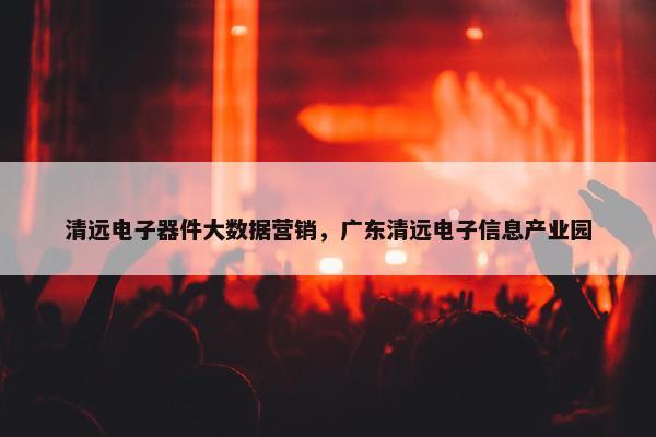 清远电子器件大数据营销，广东清远电子信息产业园