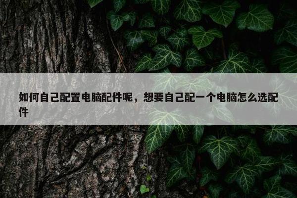 如何自己配置电脑配件呢，想要自己配一个电脑怎么选配件