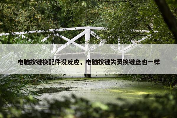 电脑按键换配件没反应，电脑按键失灵换键盘也一样