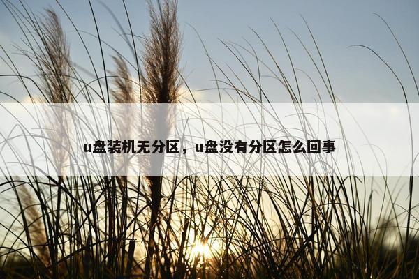 u盘装机无分区，u盘没有分区怎么回事
