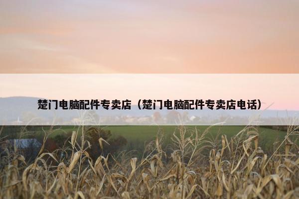 楚门电脑配件专卖店（楚门电脑配件专卖店电话）