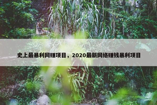 史上最暴利网赚项目，2020最新网络赚钱暴利项目