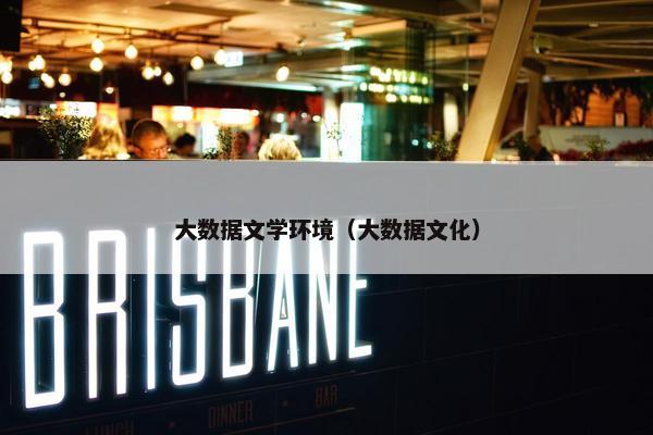 大数据文学环境（大数据文化）