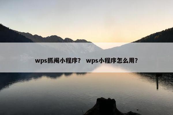 wps抓阄小程序？ wps小程序怎么用？