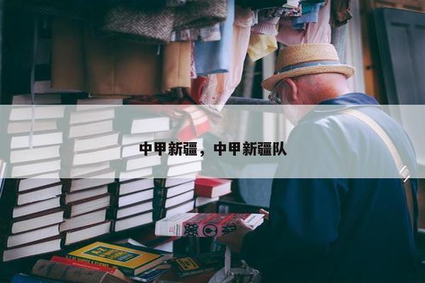中甲新疆，中甲新疆队