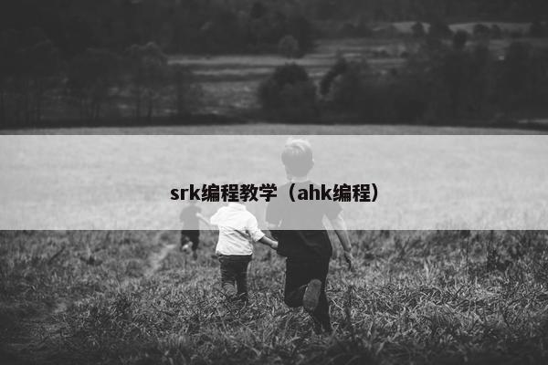 srk编程教学（ahk编程）