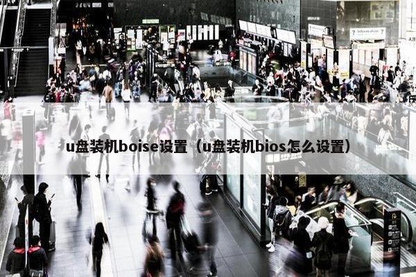u盘装机boise设置（u盘装机bios怎么设置）