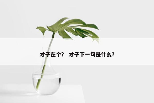 才子在个？ 才子下一句是什么？