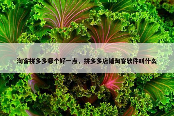 淘客拼多多哪个好一点，拼多多店铺淘客软件叫什么