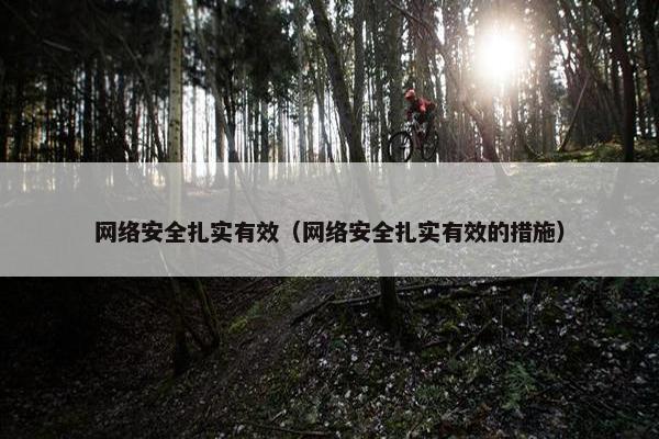 网络安全扎实有效（网络安全扎实有效的措施）