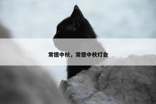 常德中秋，常德中秋灯会