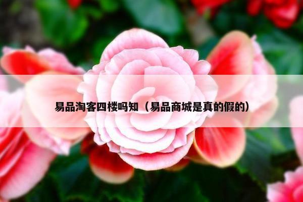 易品淘客四楼吗知（易品商城是真的假的）