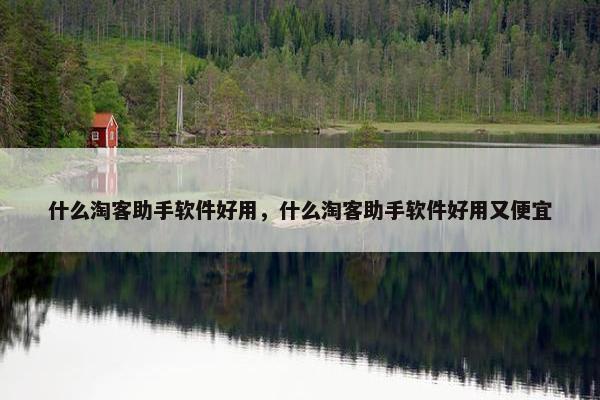 什么淘客助手软件好用，什么淘客助手软件好用又便宜
